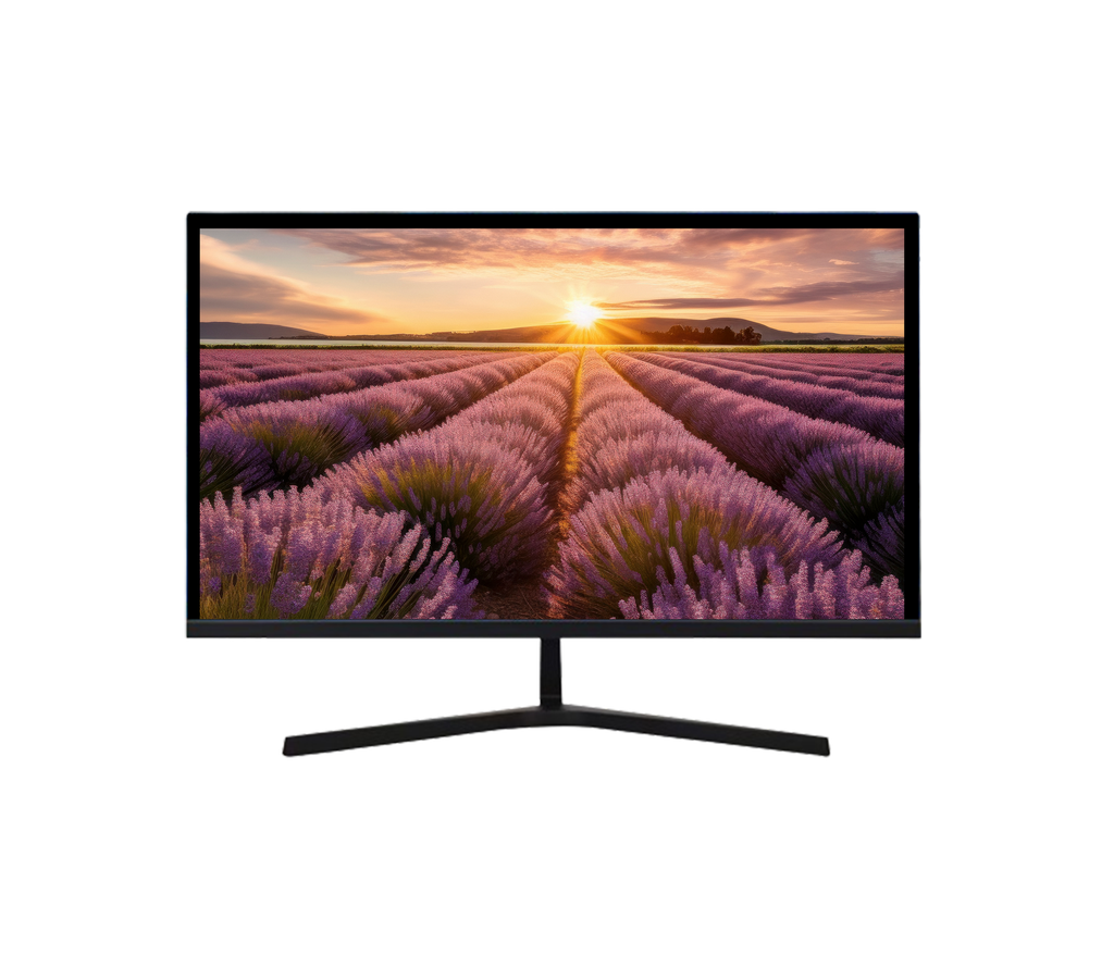 ÉCRAN FULL HD 22"