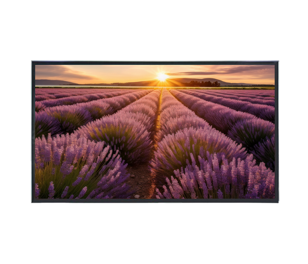 ÉCRAN LED 4K 55"