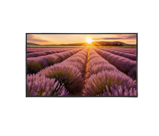 [TLMV434K] ÉCRAN LED 4K 43"