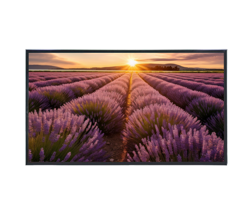 [TLMV554K] ÉCRAN LED 4K 55"