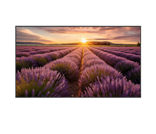 [TLMV654K] ÉCRAN LED 8K 65"